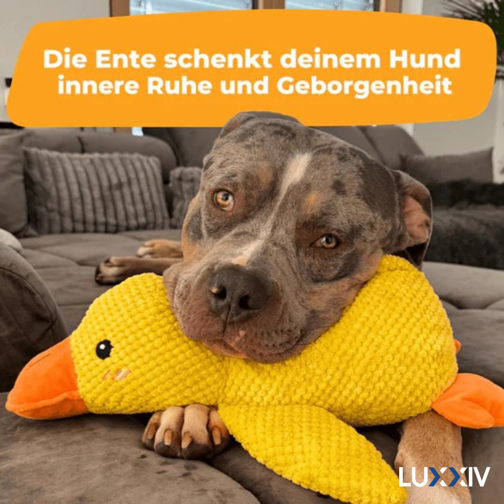 SoothingDuck™ | Anti-Stress-Ente für Ihren Hund