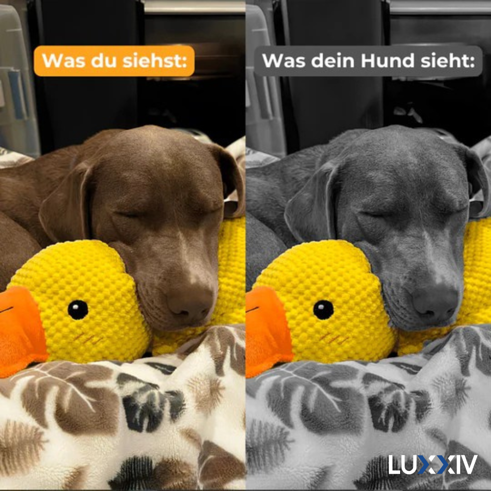 SoothingDuck™ | Anti-Stress-Ente für Ihren Hund