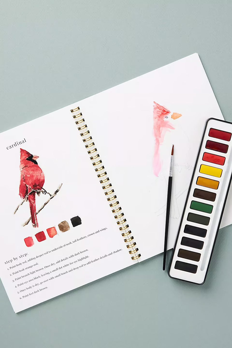 Aquarella™ | Wecken Sie Ihre Kreativität mit unserem lustigen Aquarell-Arbeitsheft!