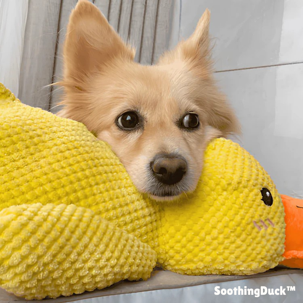 SoothingDuck™ | Anti-Stress-Ente für Ihren Hund