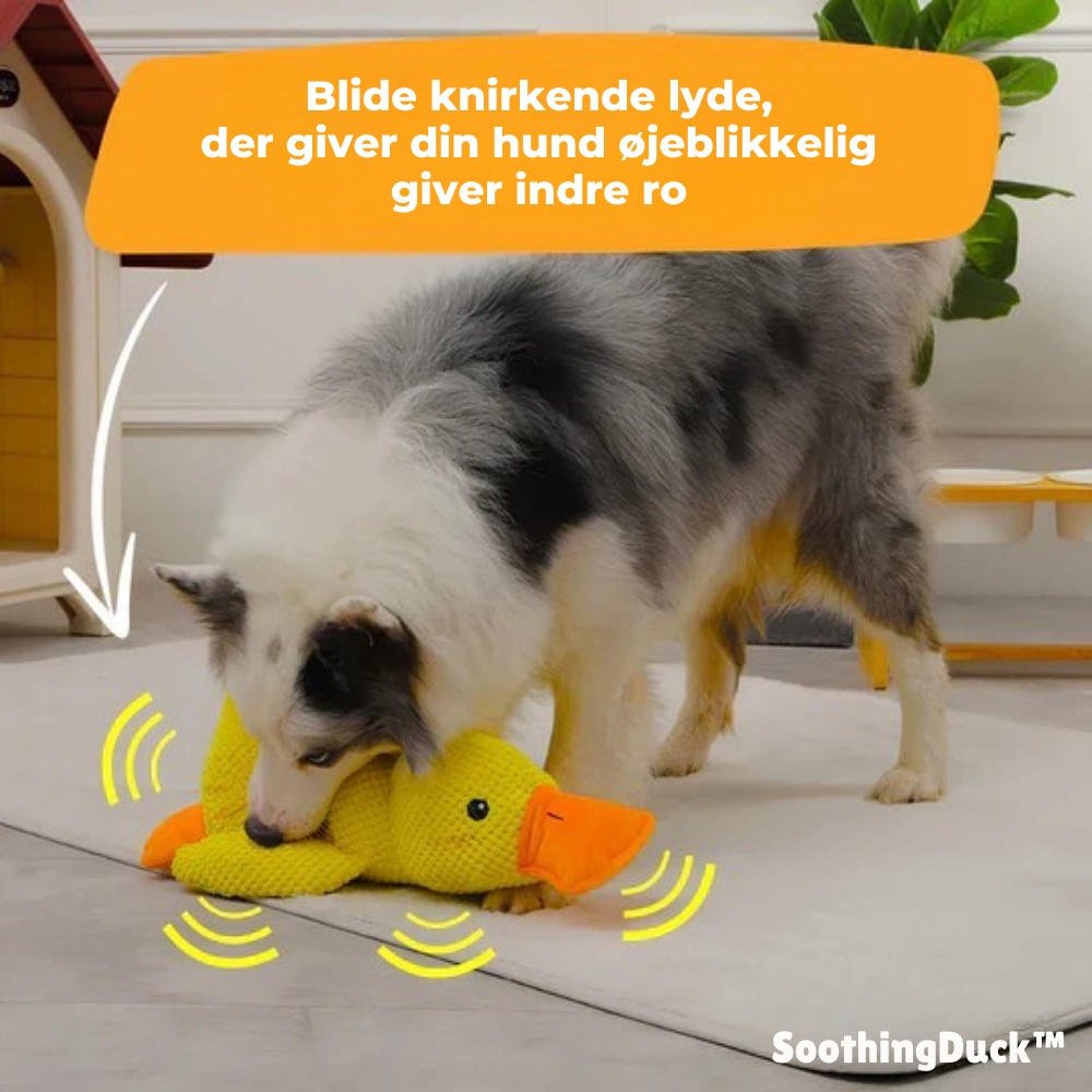 SoothingDuck™ | Anti-Stress-Ente für Ihren Hund