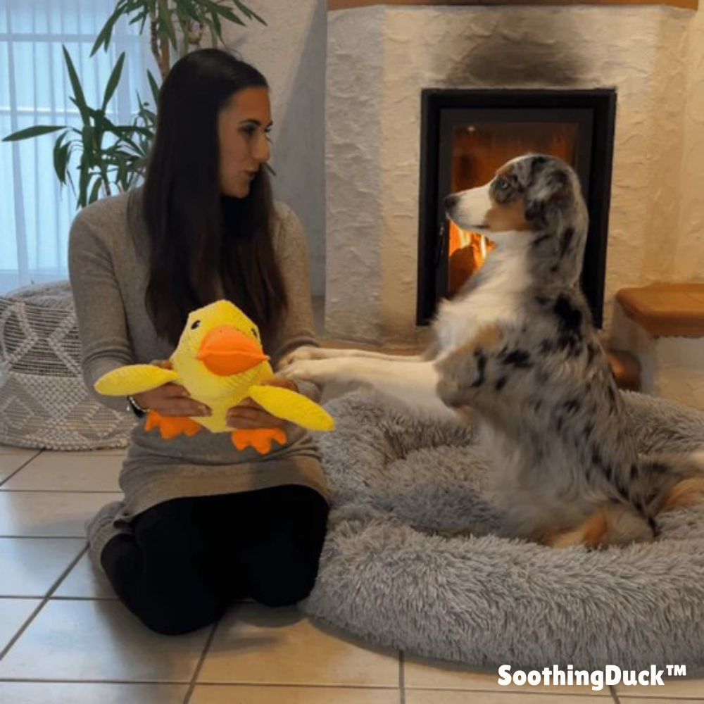 SoothingDuck™ | Anti-Stress-Ente für Ihren Hund