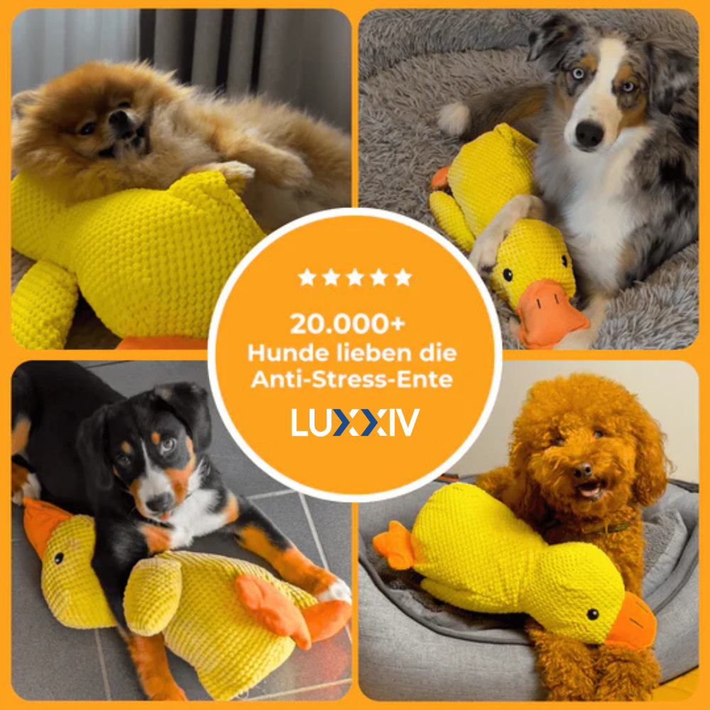 SoothingDuck™ | Anti-Stress-Ente für Ihren Hund