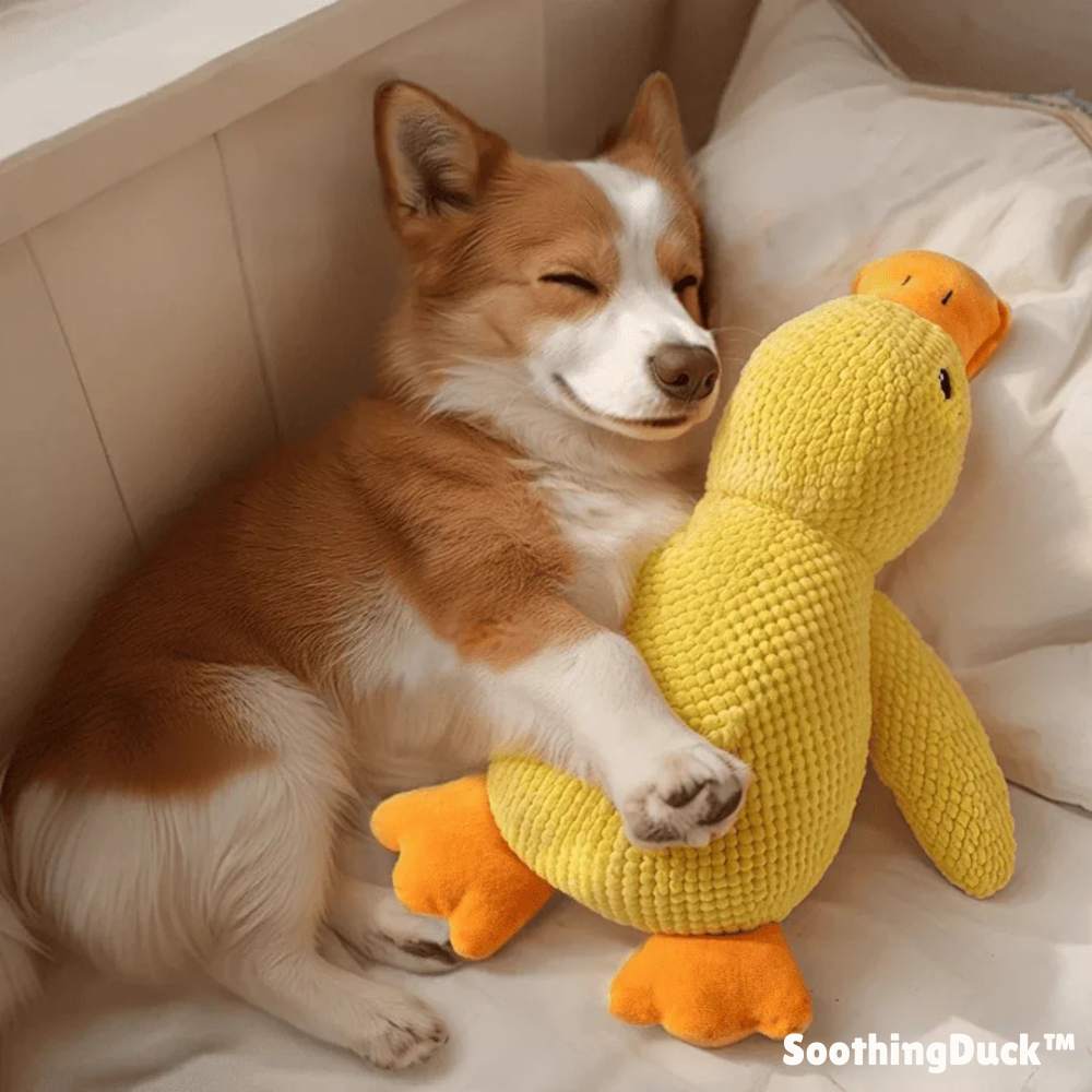 SoothingDuck™ | Anti-Stress-Ente für Ihren Hund