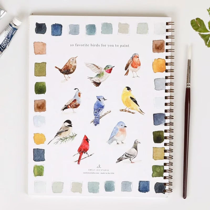 Aquarella™ | Wecken Sie Ihre Kreativität mit unserem lustigen Aquarell-Arbeitsheft!