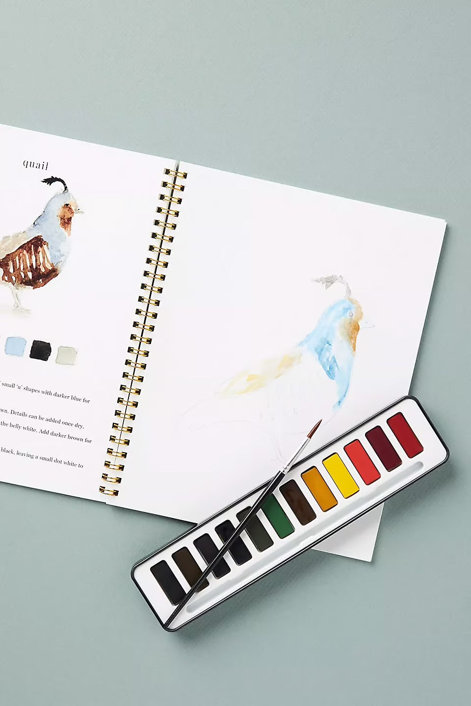 Aquarella™ | Wecken Sie Ihre Kreativität mit unserem lustigen Aquarell-Arbeitsheft!
